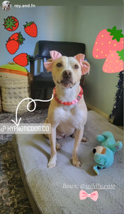Strawberry Shortcake Bead Collar