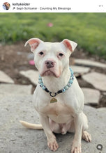 Load image into Gallery viewer, Sky Blue Abstract Ceramic Bead Collar