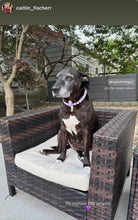 Load image into Gallery viewer, Lavender Hearts Bead Collar