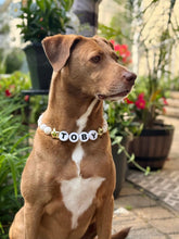 Load image into Gallery viewer, PERSONALIZED White Matte &amp; Gold Stars ⭐️ Bead Collar