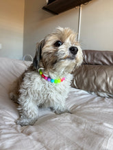Load image into Gallery viewer, Tropical Rainbow MINI Acrylic [Small Dog/Cat Bead Collar]