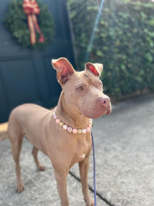 Rose Gold Champagne Bead Collar