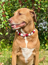 Load image into Gallery viewer, Santa Claus Bead Collar