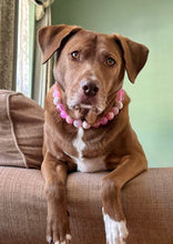 Load image into Gallery viewer, Pink Cupid Bead Collar