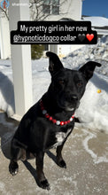 Load image into Gallery viewer, Valentine's Signature Bead Collar