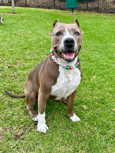 Load image into Gallery viewer, Add-on Only: Christmas Festive Red Personalized Alphabet Letter Beads (Custom Names)