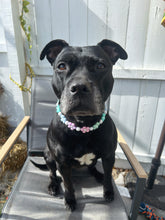 Load image into Gallery viewer, 🌼 Spring Fling Daisies 🌼 Silicone Bead Collar