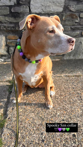 Midnight Cauldron Halloween Glow Bead Collar