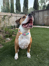 Load image into Gallery viewer, PERSONALIZED Candy Sweetheart Bead Collar