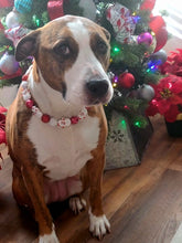 Load image into Gallery viewer, Red Frosty ⛄️ Bead Collar