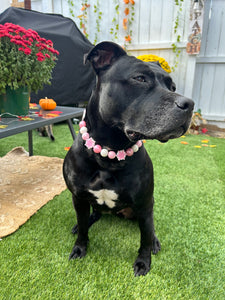 🟧 19" Slip On (Black O-Ring) Pink Snowflake ❄️ Bead Collar - PRE-MADE/FINAL SALE