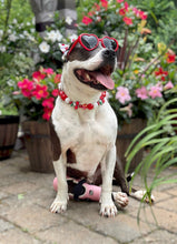 Load image into Gallery viewer, Red Cherry 🍒 Bead Collar