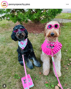 Spring Pink Bead Collar