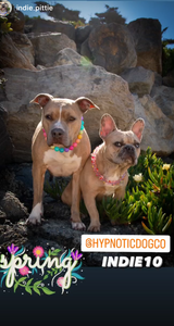 Boho Rainbow Acrylic Bead Collar