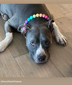 Boho Rainbow Acrylic Bead Collar