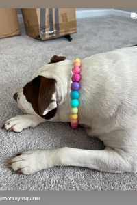 Boho Rainbow Acrylic Bead Collar