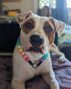 Boho Rainbow Acrylic Bead Collar