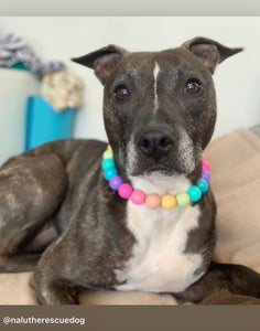 Boho Rainbow Acrylic Bead Collar