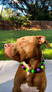 Monster Bash Bead Collar