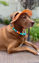 Load image into Gallery viewer, Beachside Acrylic Bead Collar