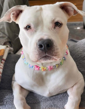 Load image into Gallery viewer, 🟧 18.5&quot; Slip On (Black O-Ring) 🦋 Y2K Butterfly Bead Collar - PRE-MADE/FINAL SALE