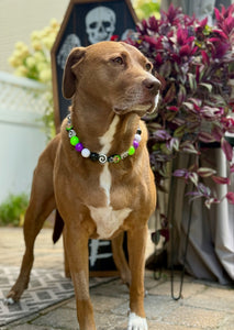 Beetlejuice Bead Collar