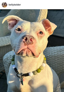 Green Tea Bead Collar