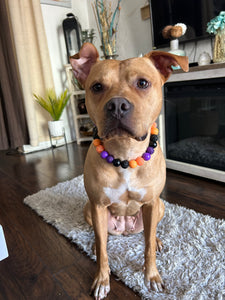 Witching Hour Halloween Bead Collar