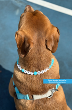 Load image into Gallery viewer, Mini Phone Number Beads + Mini Bead Collar