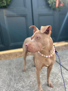 Rose Gold Champagne Bead Collar