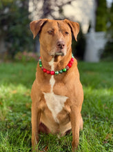 Load image into Gallery viewer, Mistletoe Glam Bead Collar