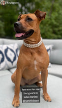 Load image into Gallery viewer, Duplo Mini White Pearl Acrylic Bead Collar