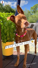 Load image into Gallery viewer, Sunset Tie Dye Glow Bead Collar