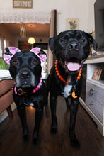 Load image into Gallery viewer, Orange Ombre Acrylic Bead Collar