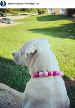 Load image into Gallery viewer, Pink Ombre Acrylic Bead Collar
