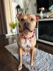 Spellbound Bead Collar