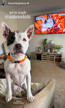 Load image into Gallery viewer, 🏒 Anaheim Ducks NHL Inspired Bead Collar