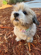 Load image into Gallery viewer, Pastel Stars MINI Acrylic [Small Dog/Cat Bead Collar]