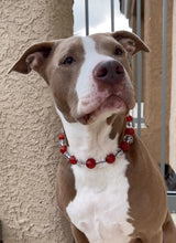 Load image into Gallery viewer, Cherry Glitter Acrylic Bead Collar