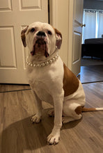 Load image into Gallery viewer, JUMBO Chunky White Pearls Acrylic Bead Collar [Scuffed] - Sale
