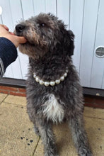 Load image into Gallery viewer, Chunky White Pearls Acrylic Bead Collar