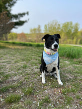 Load image into Gallery viewer, Citrus Sunrise Bead Collar