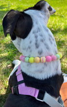 Load image into Gallery viewer, 🟧 19&quot; Slip On (Black O-Ring) Citrus Sunrise Bead Collar - PRE-MADE/FINAL SALE