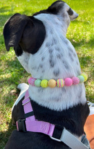 🟧 19" Slip On (Black O-Ring) Citrus Sunrise Bead Collar - PRE-MADE/FINAL SALE