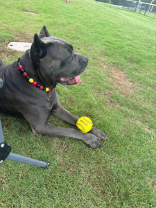 🥎 Softball Team Colors Bead Collar