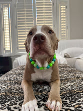 Load image into Gallery viewer, Neon Tropic Glow Acrylic Bead Collar