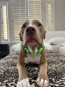 Neon Tropic Glow Acrylic Bead Collar