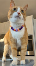 Load image into Gallery viewer, MINI Spellbound [Small Dog/Cat Bead Collar]