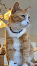 Load image into Gallery viewer, XS Galaxy Ceramic [Small Dog/Cat Bead Collar]