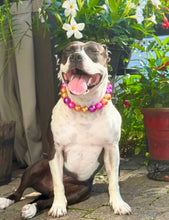 Load image into Gallery viewer, Chunky Pink Sunset Pearls Acrylic Bead Collar